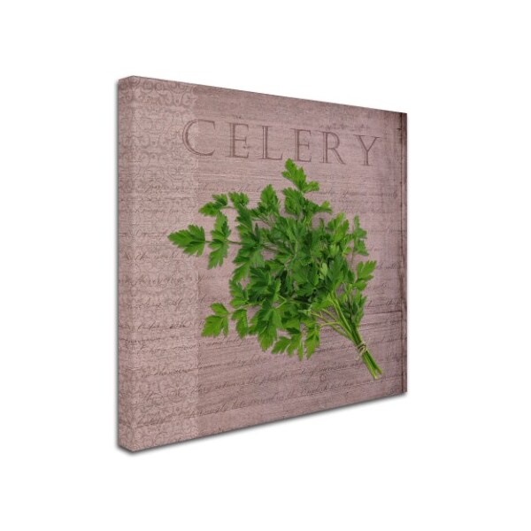 Cora Niele 'Classic Herbs Celery' Canvas Art,35x35